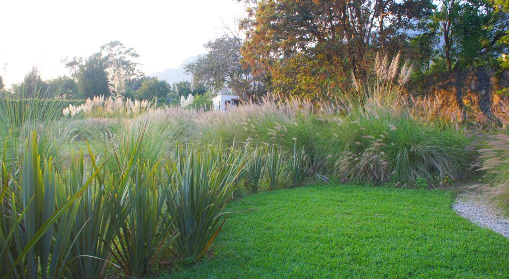 Quinta Gyo Hotel Tepoztlan Exterior photo